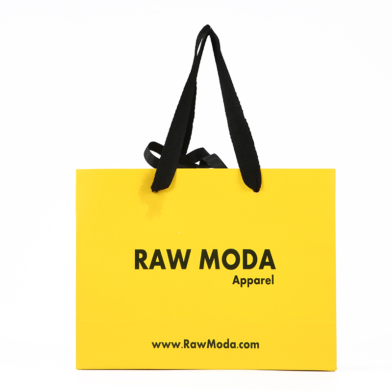 Luxury Shopping Paper Bag
