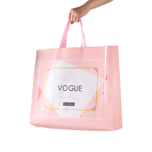 Hot Promotion Item Non Woven Shopping Bag
