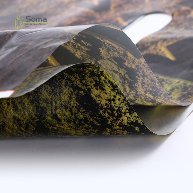 Biodegradable Plastic Bags